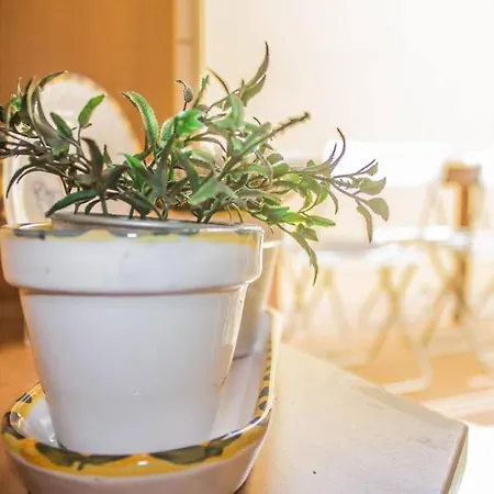 Privatunterkunft Blife Santya Private